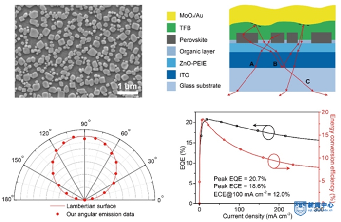 1539218464890500.jpg 15392177175013011.jpg