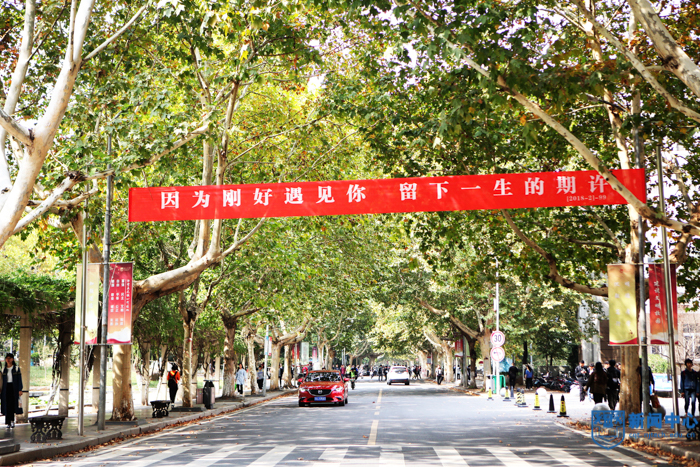 1539431953419720.jpg IMG_0057-14.jpg