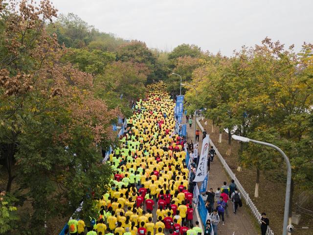 26f33785e0434a4e987413ca4e941976.jpg 26f33785e0434a4e987413ca4e941976.jpg