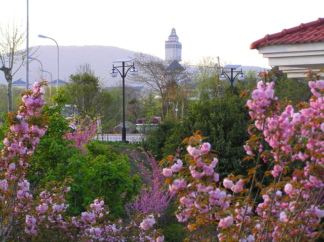 Campus Scenery