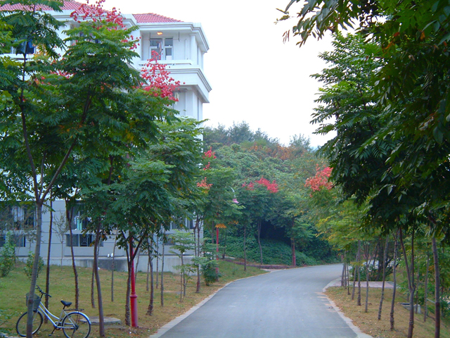 Campus Scenery